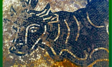 Terme romane a Frosinone - Mosaico Delle Terme di Frosinone
