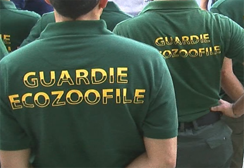 Guardie zoofile a Frosinone - Maglia Verde delle guardie zoofile