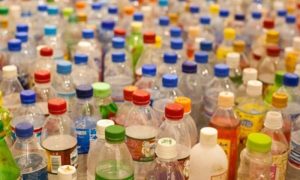 Mangiaplastica - Bottiglie da riciclare