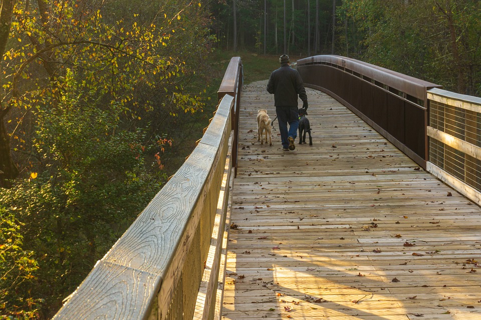 Frosinone Bella e Brutta  - Area Pedonale sul ponte di legno