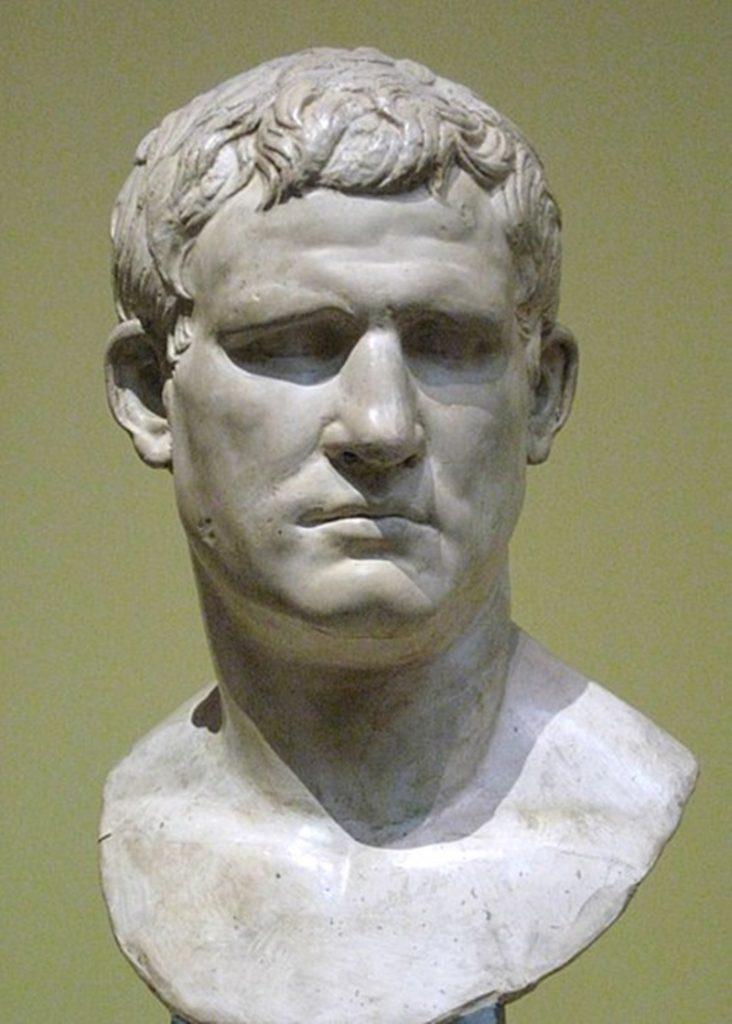 busto - Agrippa  in un Busto