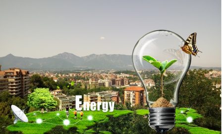 Biomasse come energia rinnovabile- Frosinone e bio rinnovabili