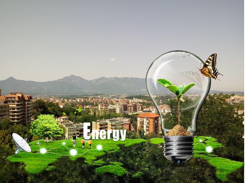 Biomasse come energia rinnovabile- Frosinone e bio rinnovabili
