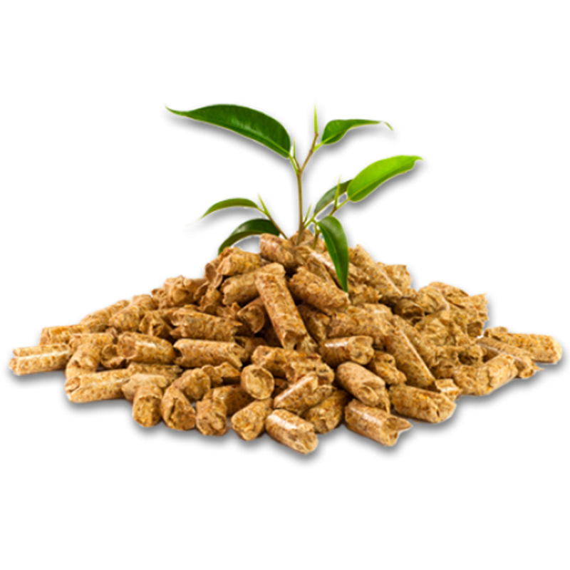 Biomasse come energia rinnovabile- Piantina da biomasse