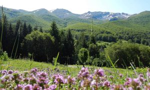Il monte Viglio - Monte Viglio a primavera