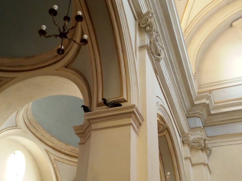 La chiesa di San Benedetto - piccioni in chiesa