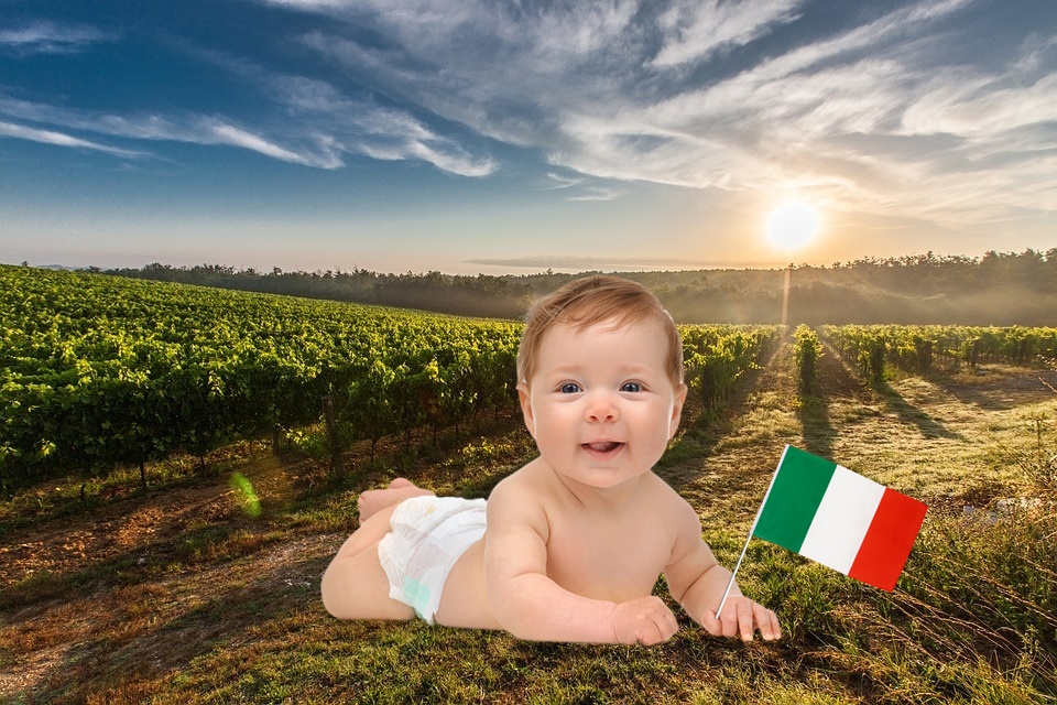 Calo demografico - Bimbo Italiano con bandierina tricolore
