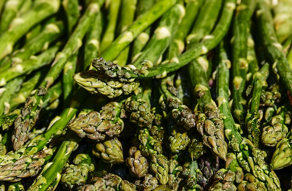 cucinare gli asparagi - Ortaggi in foto