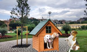 愛犬と仲良く暮らす方法 - Matusa park and kennel