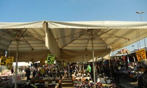 Mercato settimanale in Piazza Salvo D’Acquisto - Dscn2331 Opt foto
