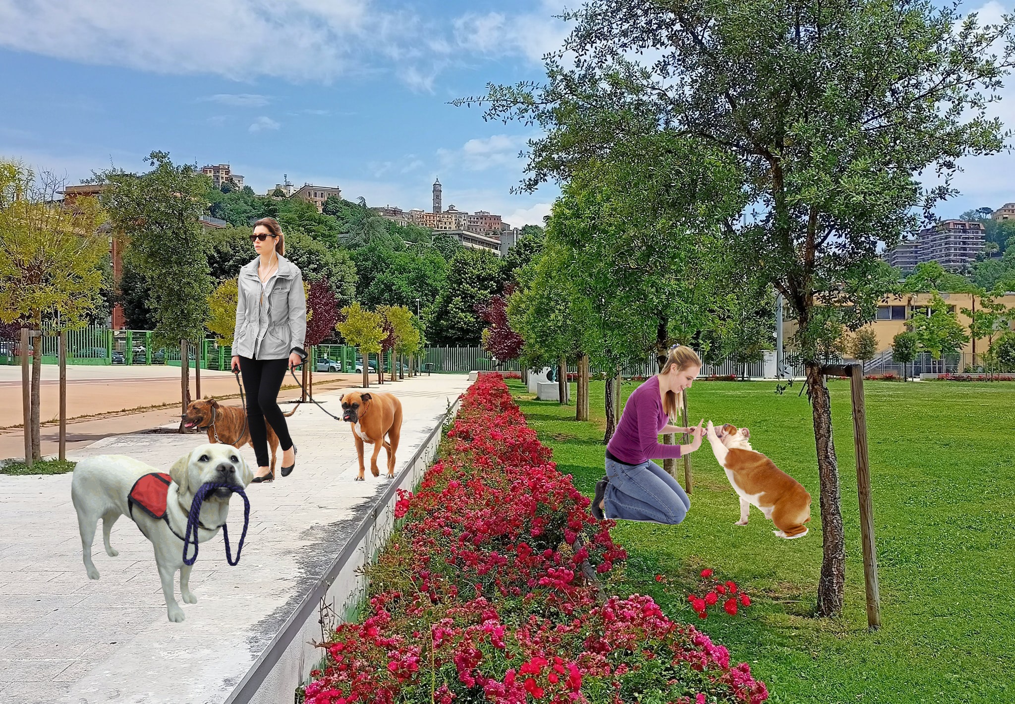 Si encuentro un perro lo haré - Parco Matusa E Cani en foto