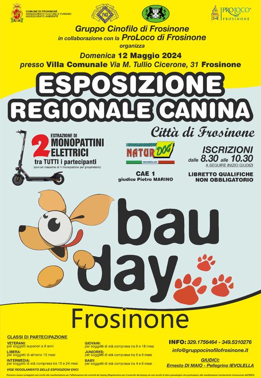 Bau Day a Frosinone - locandina a Frosinone