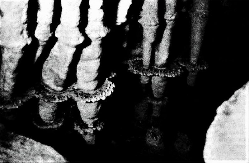 Grotta 'Ntonimaria - Sala dei candelabri