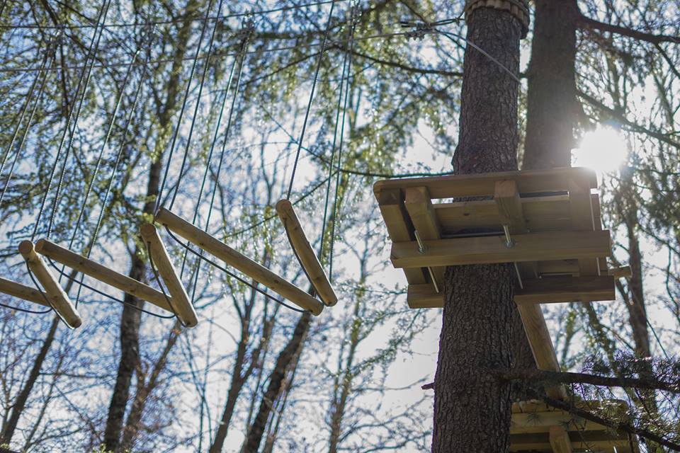 Parco Avventura Struttura in legno tra gli alberi