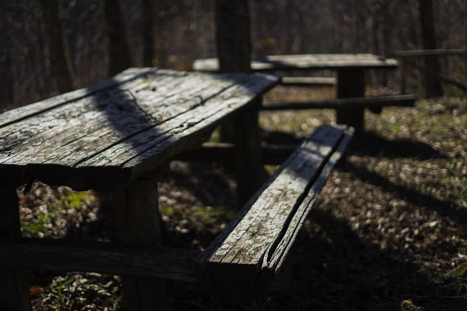 Parco Avventura alcuni tavoli in legno