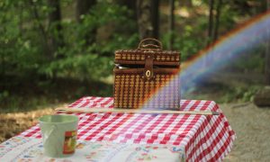 tavolo da picnic con tovaglia a quadri rossa e cestino portapranzo