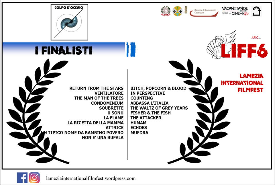 elenco dei cortometraggi finalisti al festival di lamezia