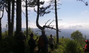 Partecipanti Al Trekking Che Osservano Il Panorama