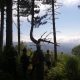 Partecipanti Al Trekking Che Osservano Il Panorama