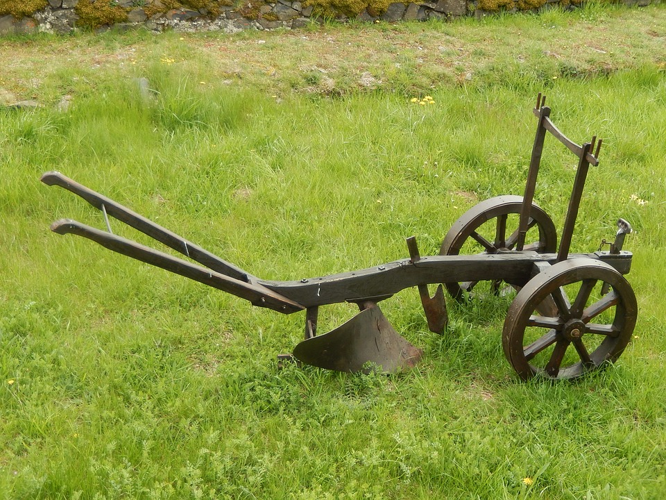 il museo della terra pontina - Aratro in legno nel prato verde
