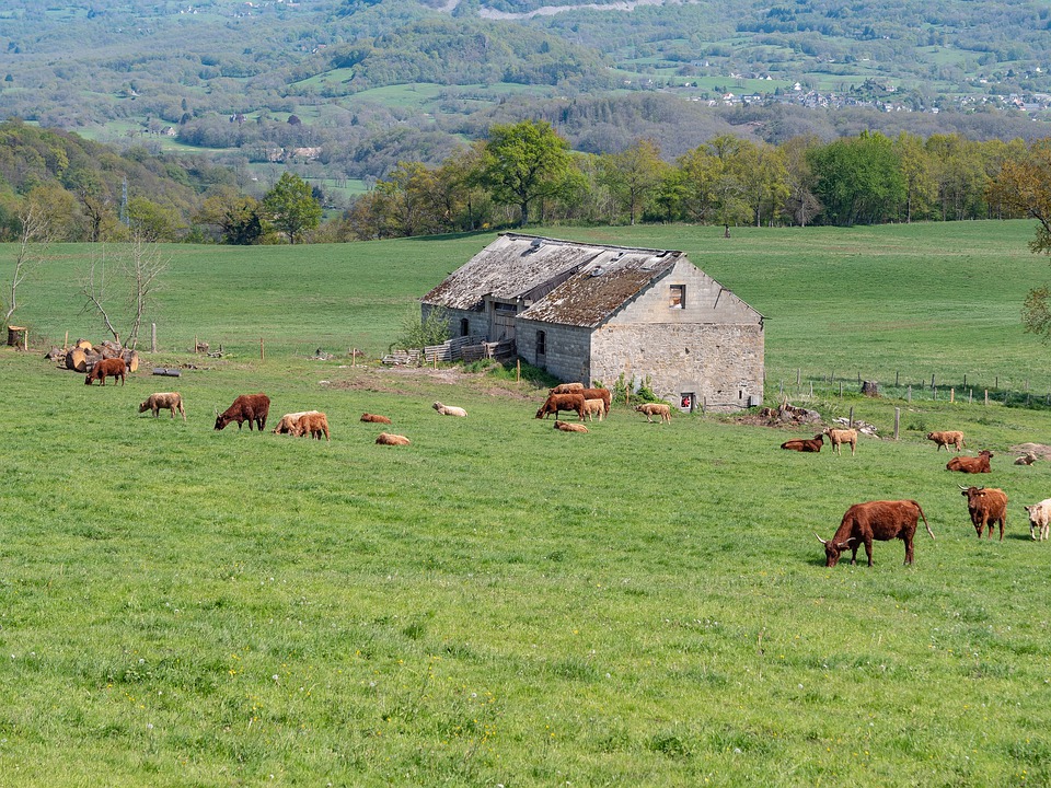 lab - Azienda Agricola dell'agro pontino