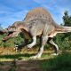 mostra dinosauria - Dinosauro