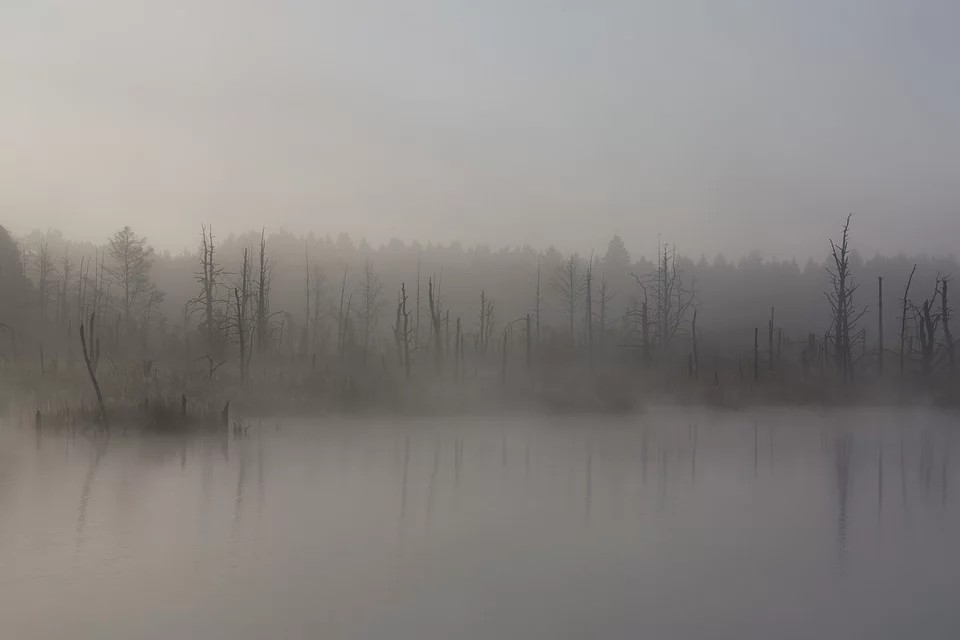 il fantasma della principessa Ninfa - Nebbia nella palude