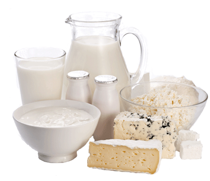 lievito - Yogurt e formaggi