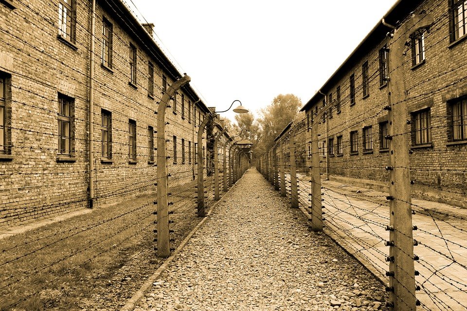 Il futuro della memoria - Auschwitz  in un dettaglio
