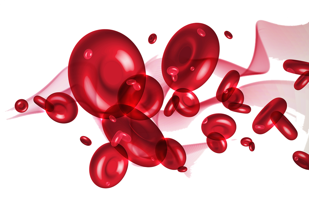 Gruppo "0" anti Covid - Plasma Sangue e cellule