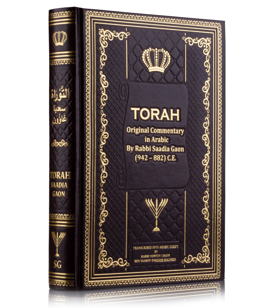 Il futuro della memoria - Torah ebraica