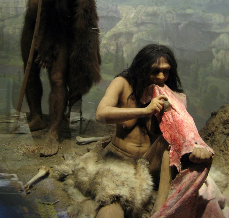 Uomo di Neanderthal al Circeo - Ominide Che Mangia Carne in una caverna