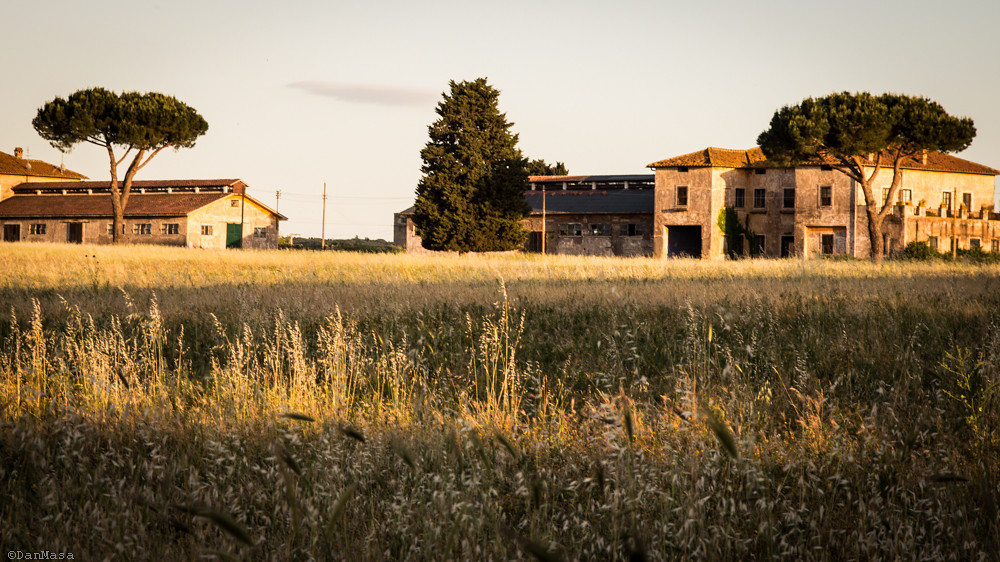 Latina già Littoria - foto di agro Pontino al tramonto
