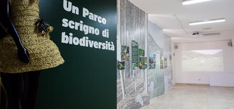 Museo Naturalistico del Parco degli Aurunci - Foto Del Parco dall'interno