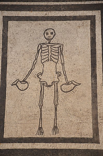 Mosaico misterioso emerso nel cimitero - Scheletro in mosaico