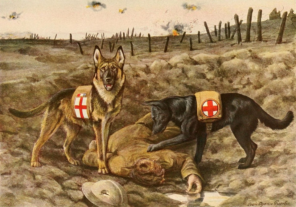 Campagna tesseramento 2022 - Cani della Croce rossa