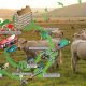 Biogas una fonte energetica pulita - Biogas e mucche