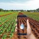 Irrigare con lo smartphone - Campi Coltivati