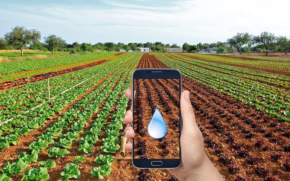 Irrigare con lo smartphone - Campi Coltivati