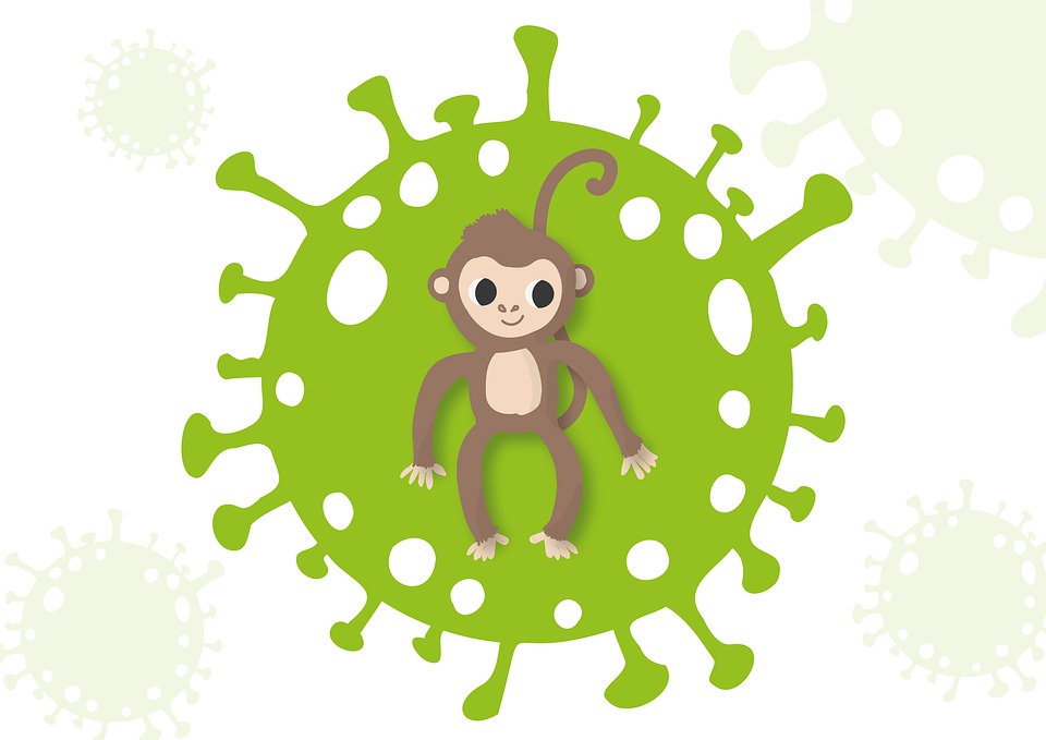 Vaiolo delle scimmie - immagine evocativa delle malattia