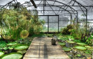 Progetto Upper - Serra Acquatica con piante autoctone