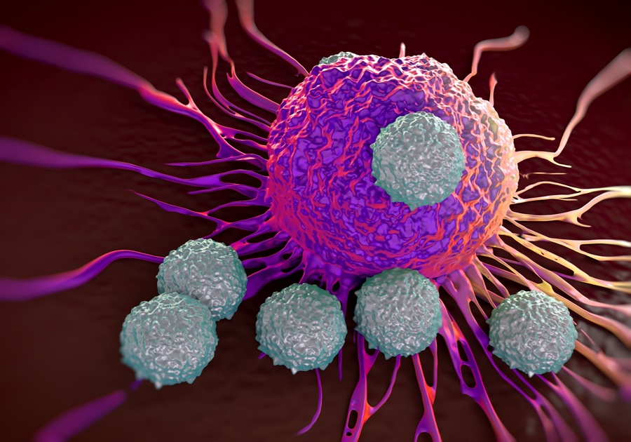 ricostruzione -T Cells Attacking Cancer Cell Illustration Of Microscopic Photos