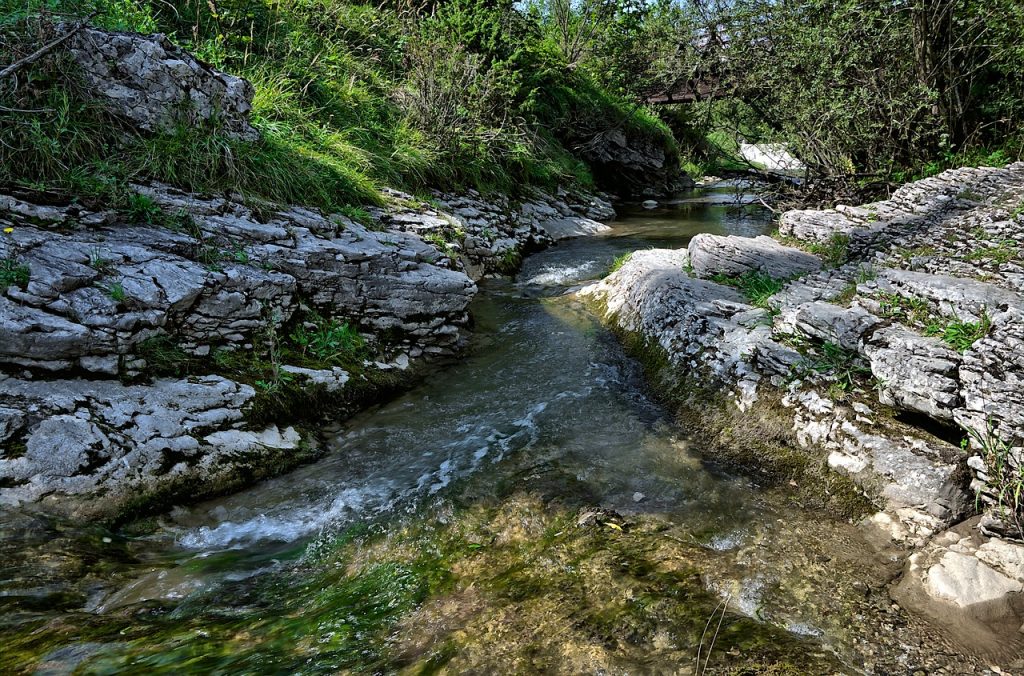 Sorgenti pontine nascoste - Biforcazione d'acqua