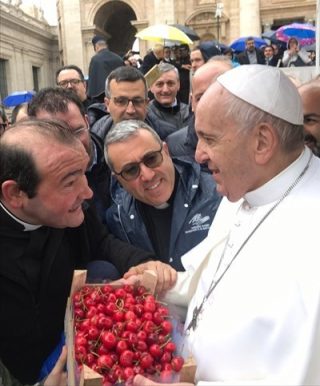 Le ciliegie del Papa - Cassetta Di Ciliegie Al Papa