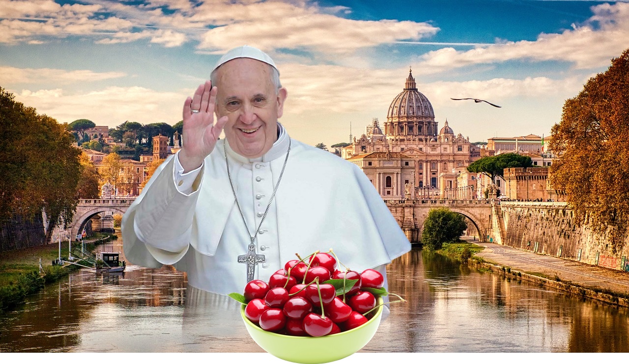 Papae cerasa - Papa Francisca
