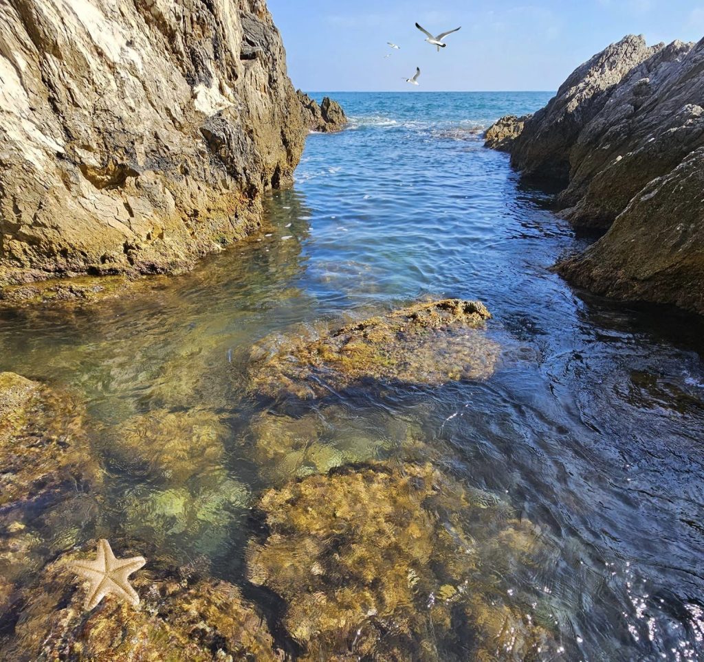 Piscine naturali a San Felice Circeo - Batterie San Felice Circeo in foto