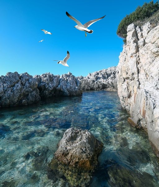 Piscine naturali a San Felice Circeo- Caletta e fondali