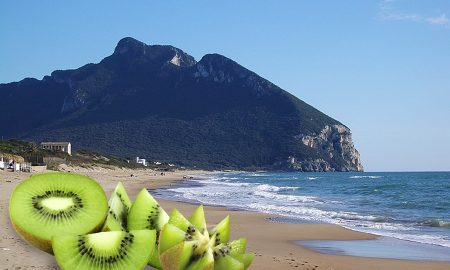 Bucce di kiwi per plastica - Circeo in foto