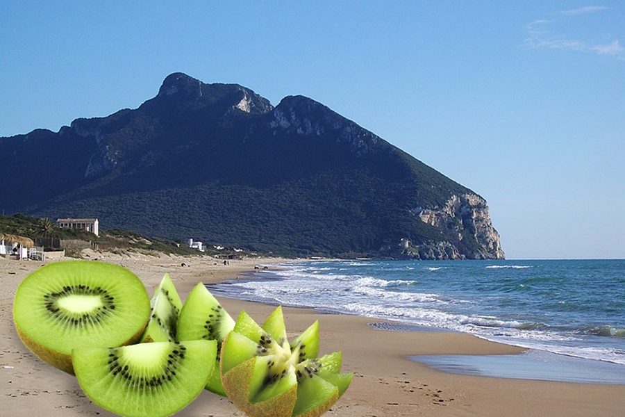 Bucce di kiwi per plastica - Circeo in foto