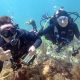 Ludovica Rocca e Giulia Galli - Oceanographic in fotoInstitute San Diego California